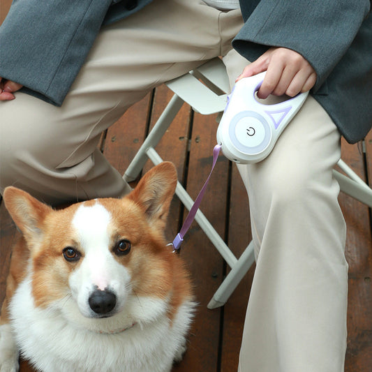 Dog/Cat Leash | Retractable Leash With Spotlight